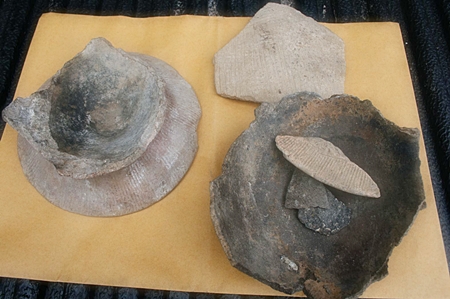 Some of the artifacts found at the site.
