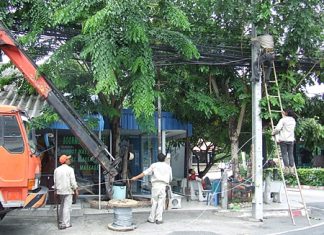TOT workers trim trees and swap out old telephone lines in Naklua.