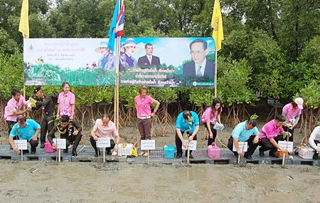 Chonburi residents and public officials plant trees in Ban Suan to honor HM the Queen. 