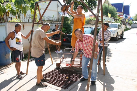 Michael Sutkay and his wife have adopted the two mischievous kittens. Michael Sutkay and his wife have adopted the two mischievous kittens.