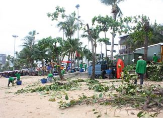 Workers from the Engineering Department trim trees along Pattaya Beach Road.