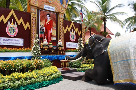 Plaimai laid a flower garland in front of an image of HM the Queen.