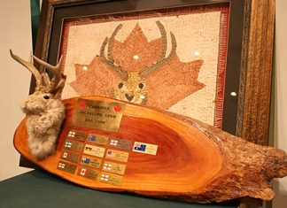 The famous Jackalope trophy.