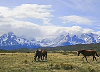 Home of the gauchos: Torres del Paine National Park, Patagonia. (Photo: Diego Delso)