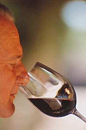 Owner Hugo Casanova - a nose at work.