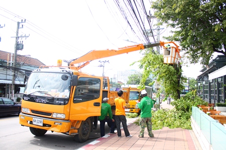 City workers trim tree branches away from power lines in Naklua. 