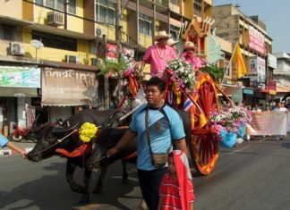 Sonthaya Kunplome and friends ride through the streets of Chonburi at the head of the opening day parade on a fabulously decorated buffalo drawn cart. (Photo from CPRD)