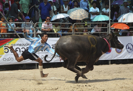 Hey! Come back here, you! (AP Photo/Sakchai Lalit)