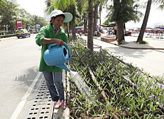 City worker “Nok” waters the newly planted flowers along the beach promenade.