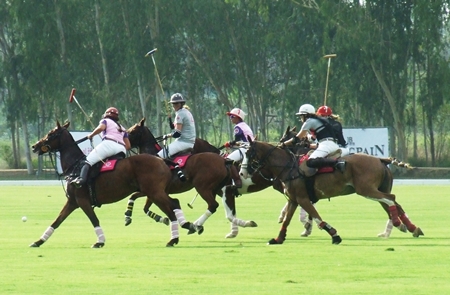 Fast paced equestrian action and colourful attire are the hallmarks of Queen’s Cup Pink Polo. 