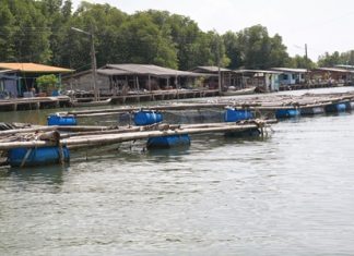 Bang Chan, in Chantaburi’s Lung District, is a fishing village built on the water.