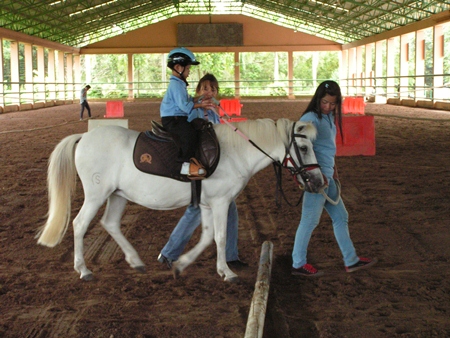 The horse moving naturally in walk simulates and synthesizes a movement as close to the human walk as is possible.