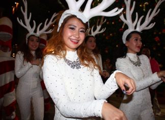 Reindeer prance towards the Christmas tree light-up event at Central Festival Pattaya.