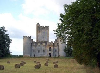 Château de Roquetaillade, Graves (Photo: Pline)