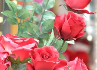 A rose, by any other price would smell as sweet. But an 8 x rise in price is quite steep.