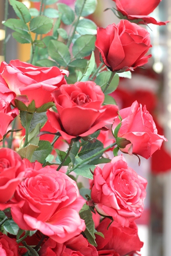A rose, by any other price would smell as sweet.  But an 8 x rise in price is quite steep.