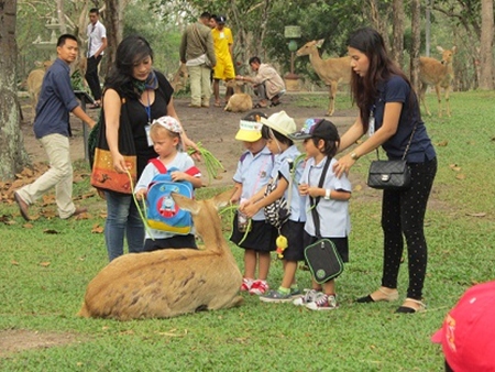 The Elk Deer were full of beans - literally.