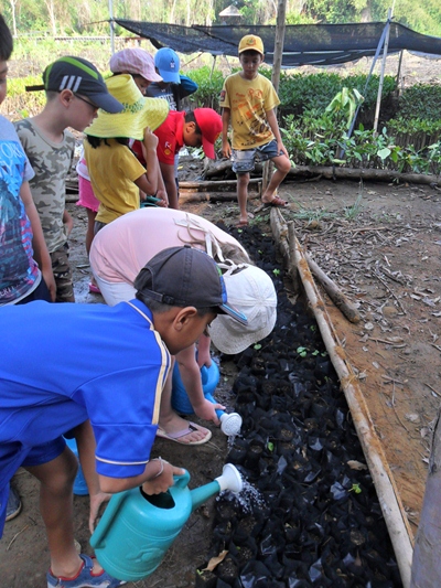 GIS students visit the mangrove trees in Sattahip.