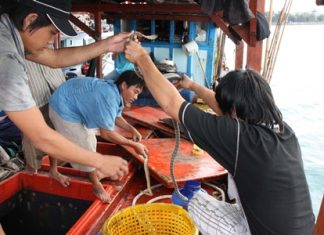 Crewmen and officials bottle up the snakes so that they are more easily confiscated.