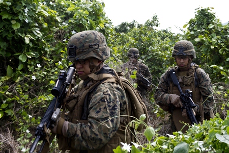 Marines and Sailors move through the jungle towards their objective during an amphibious assault as part of exercise Cobra Gold 2013 Feb. 14. (Photo by Lance Cpl. Codey Underwood)