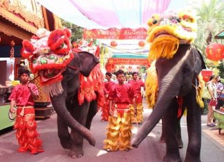 Nong Nooch Tropical Garden elephants are dressed up in Chinese lion gear for a lion dance parade during the Chinese New Year holiday.