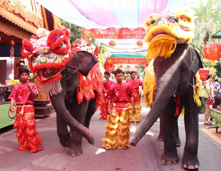Nong Nooch Tropical Garden elephants are dressed up in Chinese lion gear for a lion dance parade during the Chinese New Year holiday.
