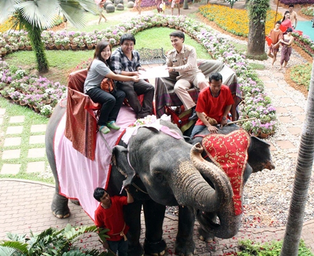 One of 99 couples to marry on the backs of elephants on Valentine’s Day at Nong Nooch Tropical Garden this year.