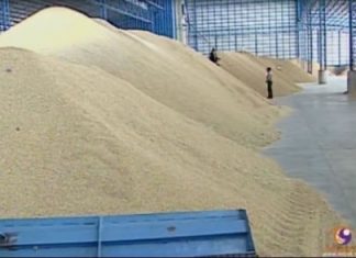 Over 30,000 tonnes of rice to be released from state stockpiles