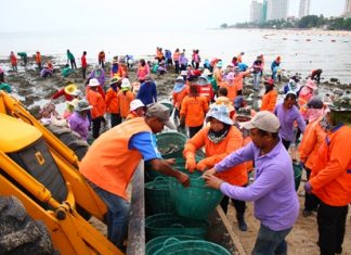 Over 100 city workers are put to work removing dirty rocks from Wong Amat Beach.