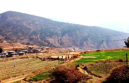 Hike to the Temple of the Divine Mad Monk.