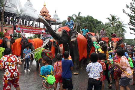 The youngsters at Nong Nooch Tropical Gardens soon learn that their water guns are no match for the elephants trunks.