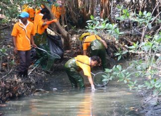 Pattaya Environmental officers clean garbage and waste out of the canal to protect the natural system.