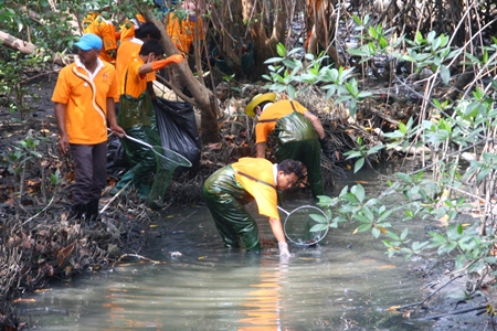 Pattaya Environmental officers clean garbage and waste out of the canal to protect the natural system.