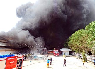 Up to 2,000 people were evacuated from their homes March 29 when the Master Glove Industries Co. plant in Pluakdaeng erupted in a major fire. Fire police, worried that the seven tons of liquid petroleum gas, 600 kg of chlorine and other chemicals on site might explode, evacuated 2 km of the surrounding area.