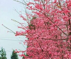 What’s NEW at Thailand Travel Mart 2013 Plus