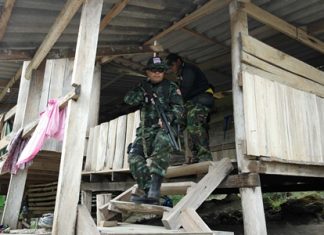 Armed law enforcement officials raid a suspected illegal rubber plantation on the outskirts of Rayong.