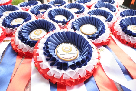The beautiful rosettes (and the medals) were a perfect end to a wonderful day.