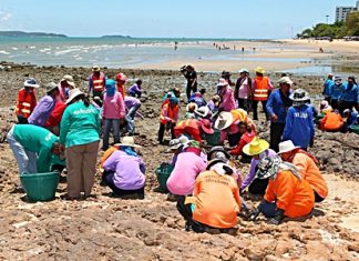 Public health and environment staff collect stones and pick up garbage off the beaches. Department officials said they will crack down on litterbugs polluting area beaches and will step up shoreline cleaning.