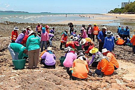 Public health and environment staff collect stones and pick up garbage off the beaches. Department officials said they will crack down on litterbugs polluting area beaches and will step up shoreline cleaning.