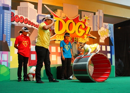 Dogs skills performances thrill the audience.
