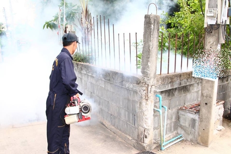 It’s that time of year again, when the rains are quickly followed by mosquitoes and the dangerous outbreak of dengue fever.  Shown here, a city worker sprays insecticides to kill mosquitoes, the prime carriers of dengue fever and malaria.  City officials have been visiting area neighborhoods in an attempt to educate the public about this health threat.