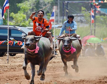 It’s amazing how fast these beasts of burden can actually run.