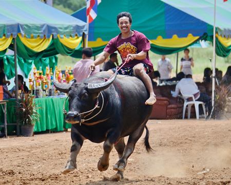 All smiles on the back of this huge beast.