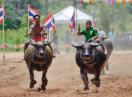 Old and young - nose to nose down the stretch.