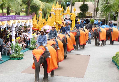 Nong Nooch Tropical Garden’s 39 elephants bring up the rear of their parade.