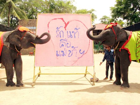 Pachyderms Yok and Baiyok celebrate Mother’s Day by drawing a heart and filling it with the Thai words “Love is Mother”.