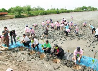 Chonburi officials and Police Academy students plant trees at the Sila Reservoir to honor HM the Queen for her upcoming 81st birthday.