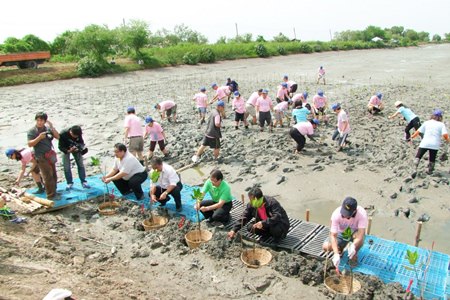 Chonburi officials and Police Academy students plant trees at the Sila Reservoir to honor HM the Queen for her upcoming 81st birthday.