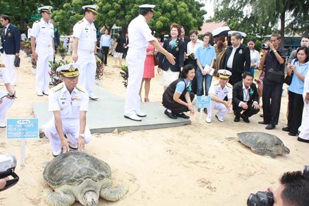 Adm. Thaweewuth Pongphipat releases the biggest of the 982 turtles set free in celebration of HM the Queen for her 81st birthday.