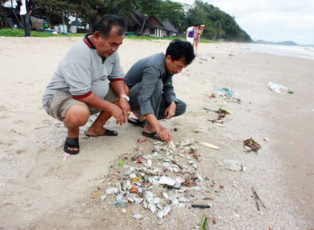 Officials at Mae Rampung Beach in Rayong are blaming the recent oil spill for the mass fish die-off in the area.